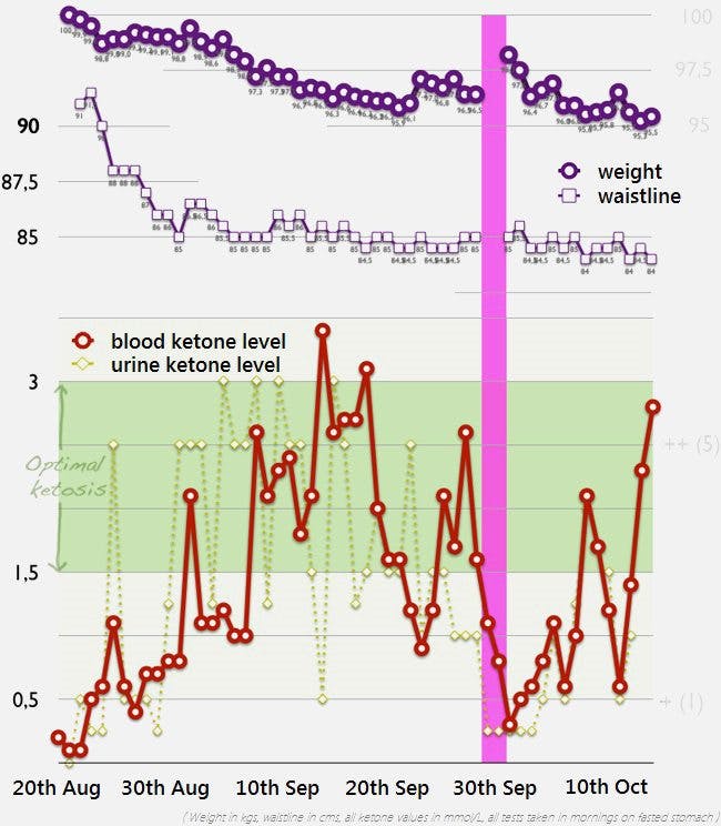 Optimal ketosis experiment