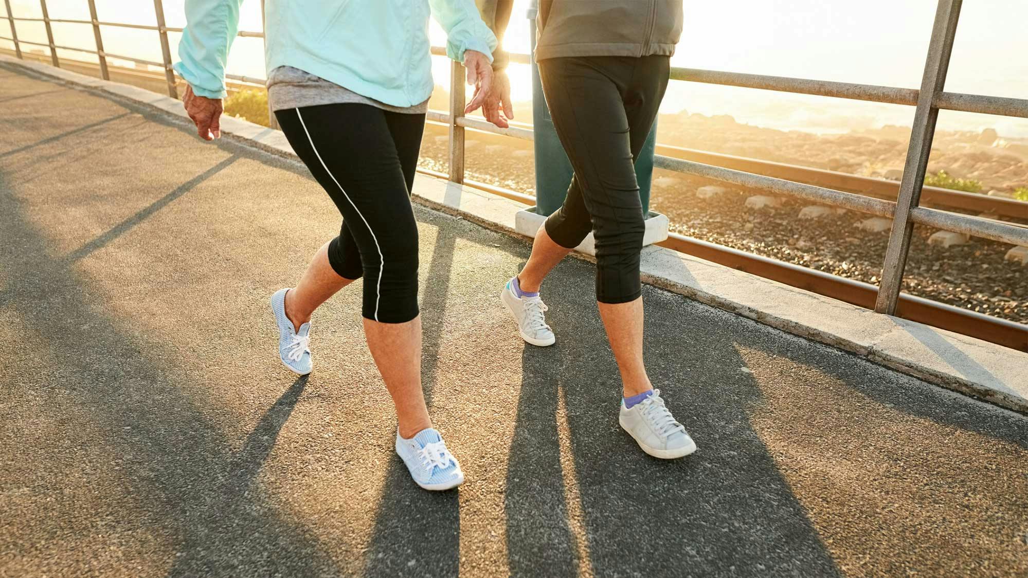 People taking a walk